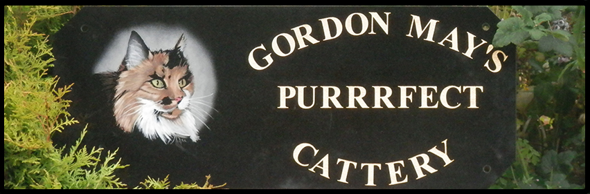 Gordon May's Purrrfect Cattery Business Sign